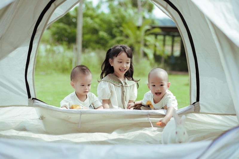 Forest Camping Image